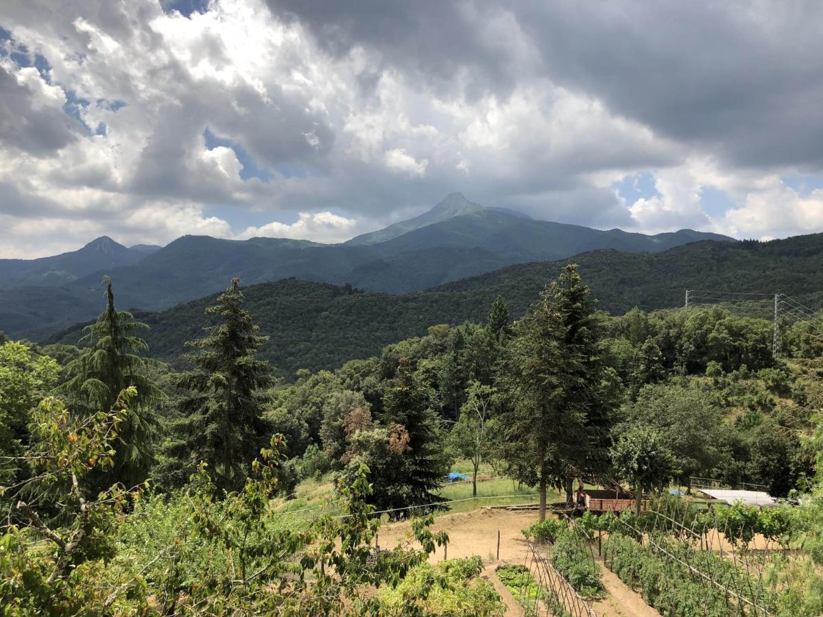 Apartamento En Pleno Montseny Mas Romeu Turisme Rural アルブシエス エクステリア 写真