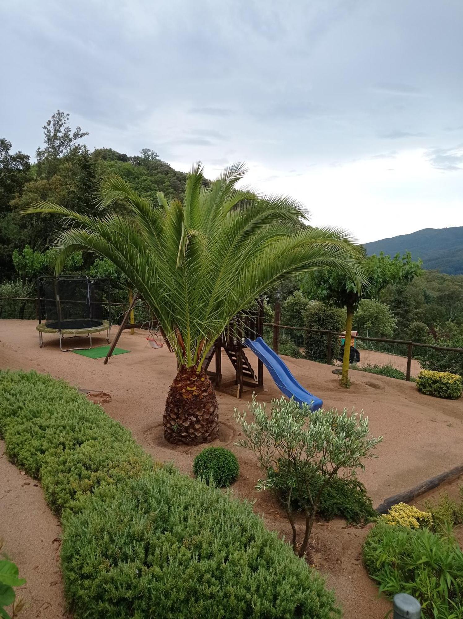 Apartamento En Pleno Montseny Mas Romeu Turisme Rural アルブシエス エクステリア 写真