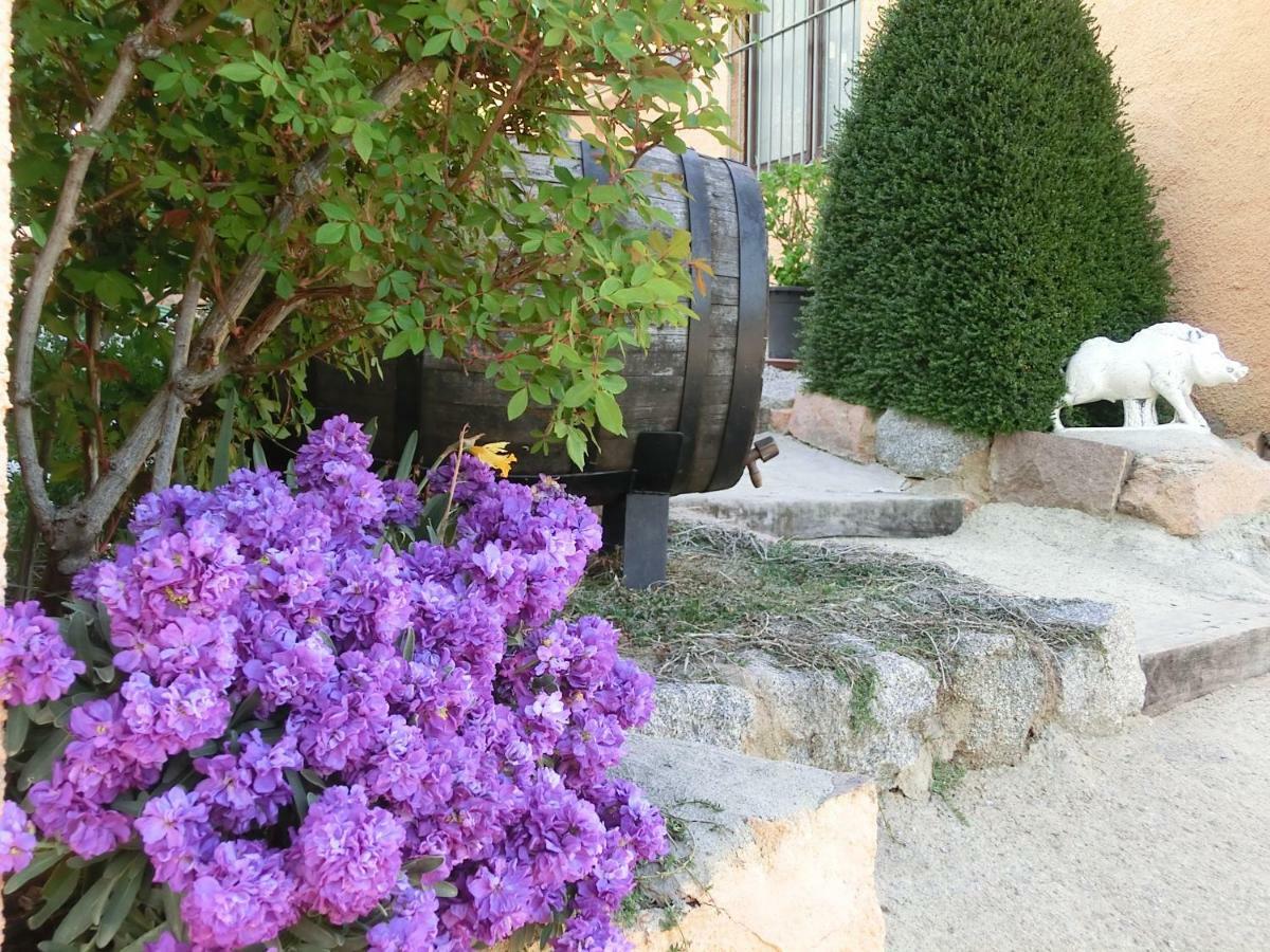 Apartamento En Pleno Montseny Mas Romeu Turisme Rural アルブシエス エクステリア 写真
