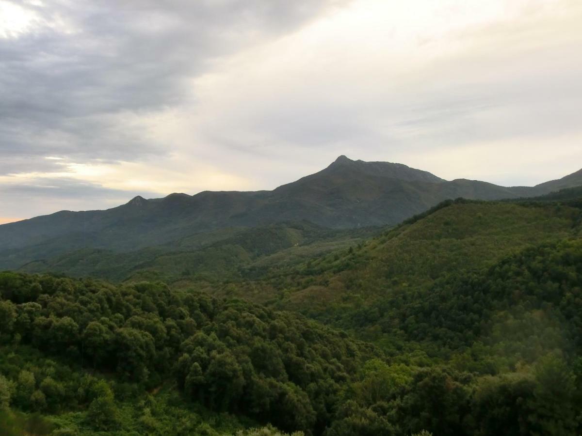 Apartamento En Pleno Montseny Mas Romeu Turisme Rural アルブシエス エクステリア 写真